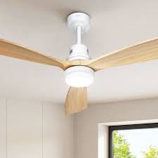 Ceiling Fans