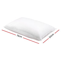 Giselle Bedding Duck Feather Down Pillow Twin Pack