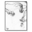 Oceans Jellyfish – Black Frame Canvas