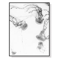Oceans Jellyfish – Black Frame Canvas