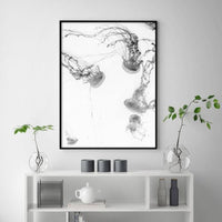 Oceans Jellyfish – Black Frame Canvas