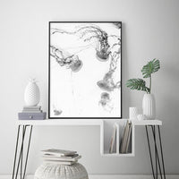 Oceans Jellyfish – Black Frame Canvas